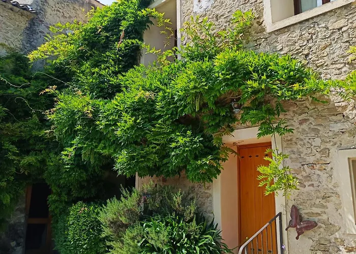 Villa Domaine Provencal 