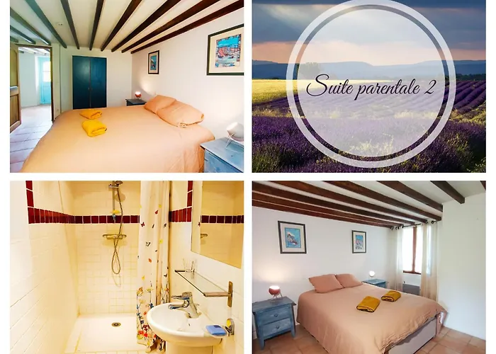 Villa Domaine Provencal 